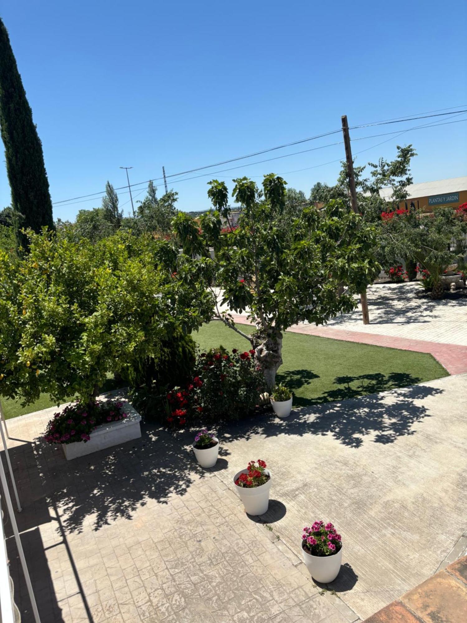 Finca Mi Alma Ogíjares エクステリア 写真